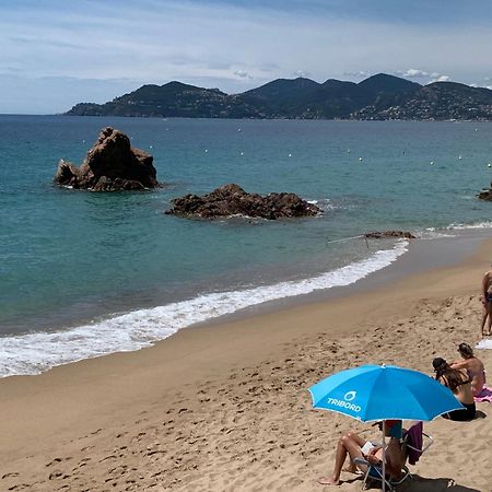 Le Palm Azur - Vue Mer Sur Les Iles De Lerins 칸느 외부 사진