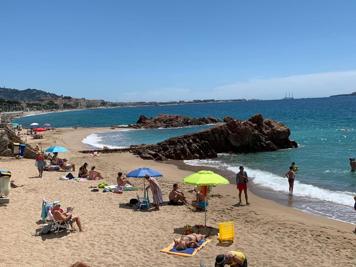 Le Palm Azur - Vue Mer Sur Les Iles De Lerins 칸느 외부 사진