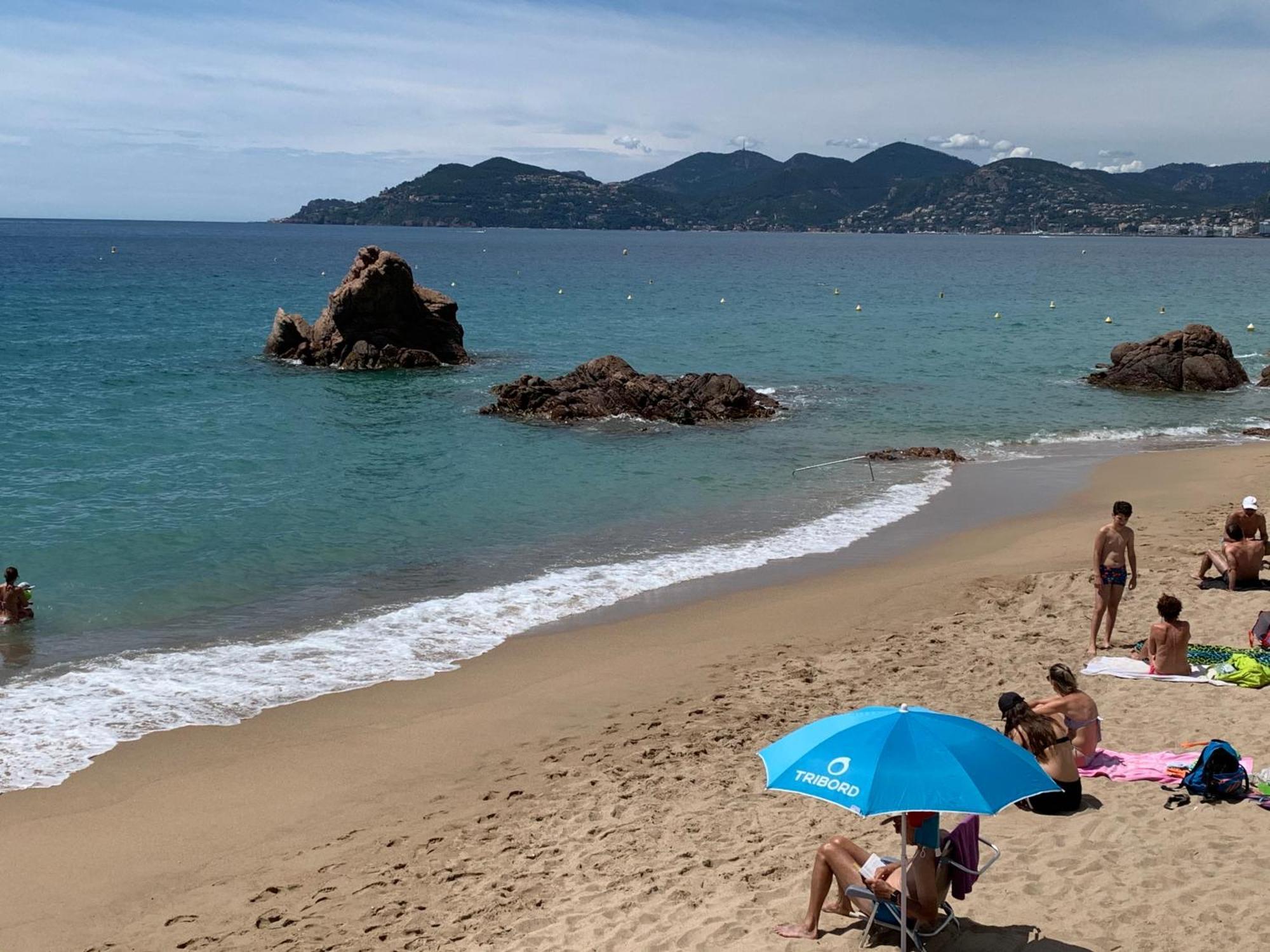 Le Palm Azur - Vue Mer Sur Les Iles De Lerins 칸느 외부 사진